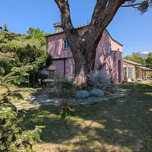 Sarita Bed & Breakfast